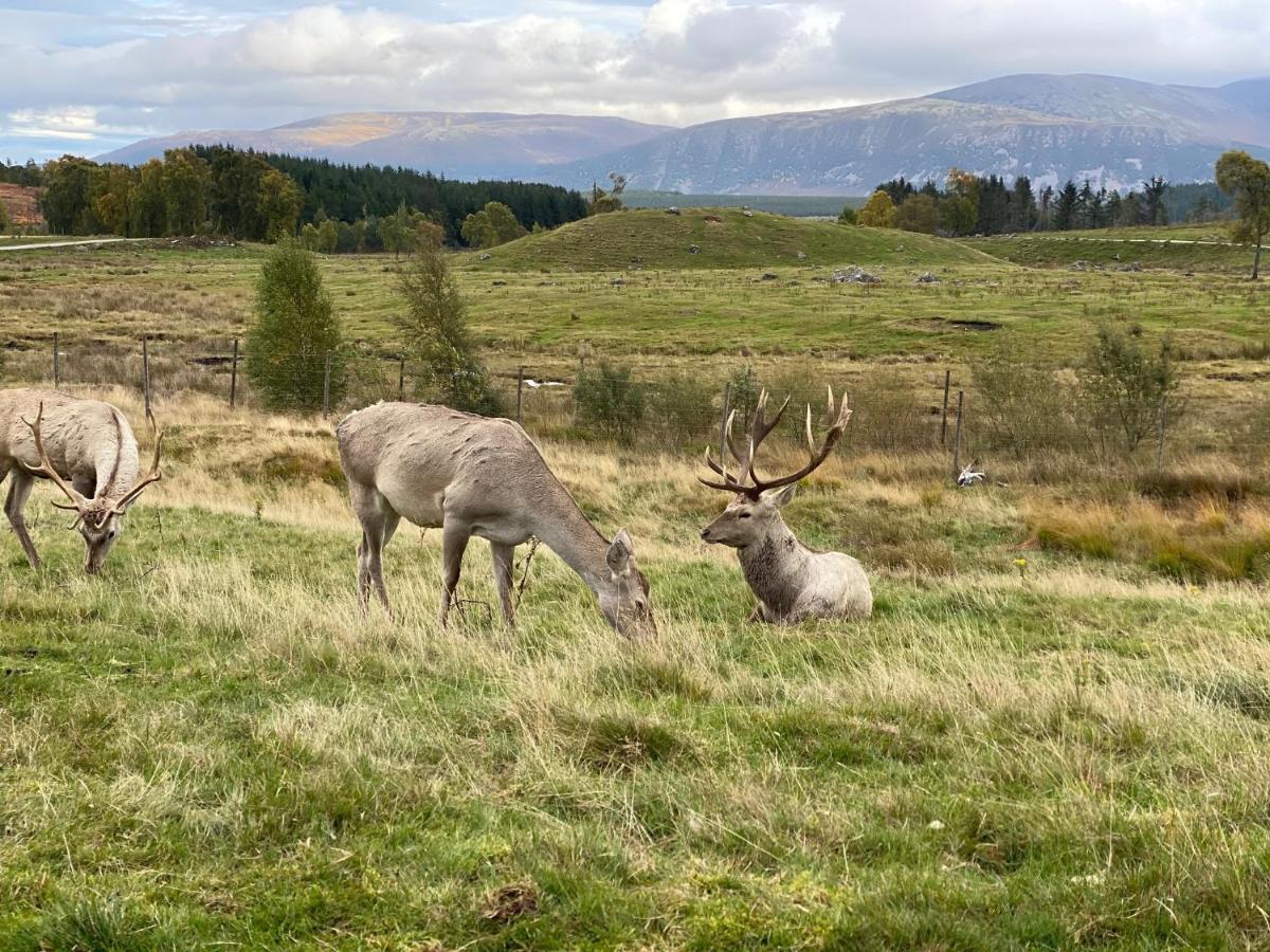 Ardenbeg Grantown-on-Spey